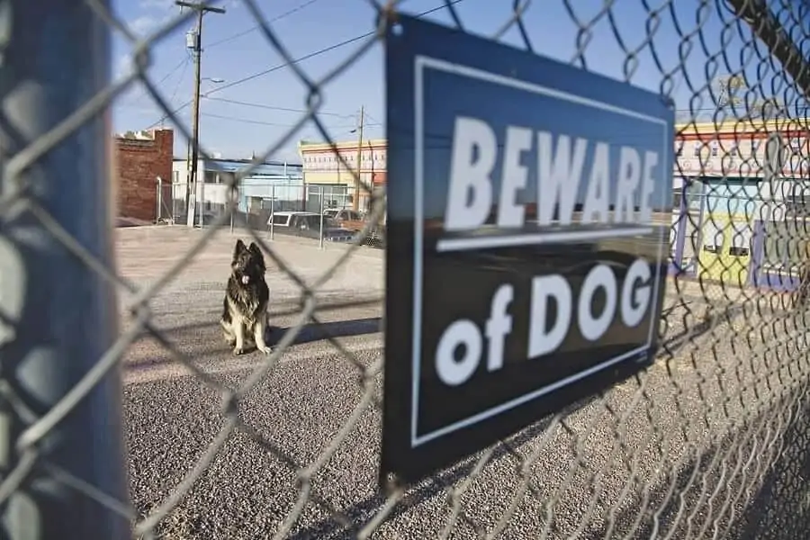 Beware of dog